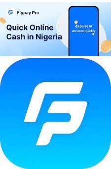 Flypay Pro Loan Customer Care Number Email Address Interest Rate About Review Repayment Apply APK Download