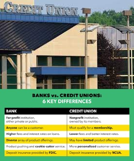 Credit Unions: Definition Membership Requirements and Comparison to Banks